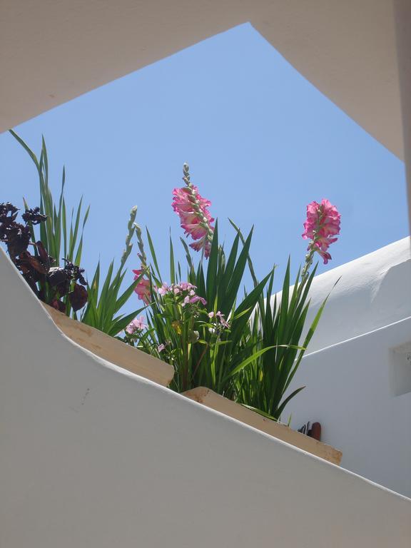 Hotel Philippi Mykonos Town エクステリア 写真